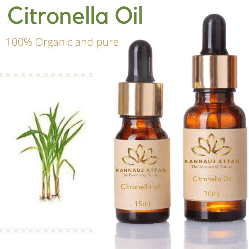 Pure Organic Citronella Essential Oil