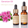 Buy Pure Organic Geranium Essential Oil