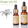 Buy Pure Organic Ginger Lily Essential Oil